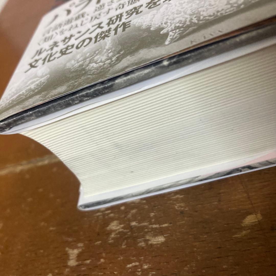 『パラドクシア・エピデミカ』ロザリー・コリー著、高山宏訳、白水社