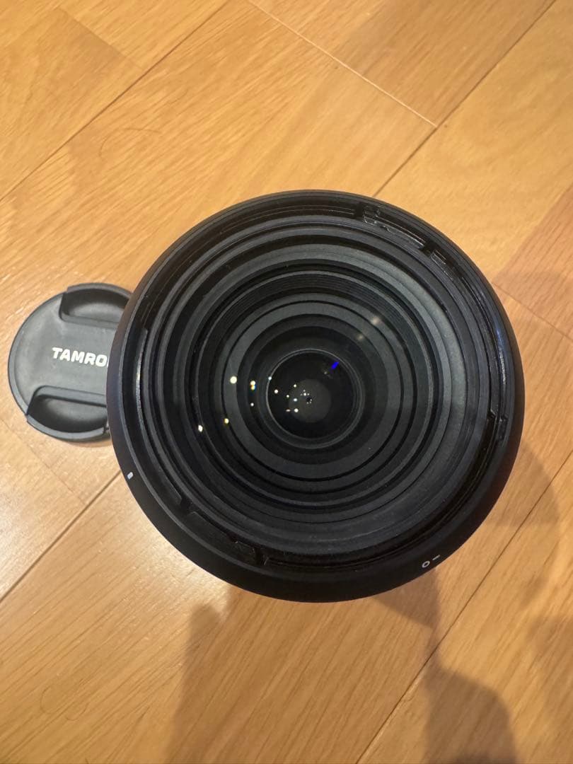 デジタルカメラ TAMRON 28-200mm F/2.8-5.6 Di III RXD